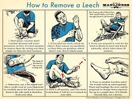 How To Remove A Leech | The Art Of Manliness