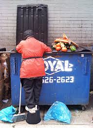 Check spelling or type a new query. Dumpster Diving Wikipedia