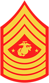 U S Military Rank Insignia