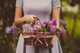 Se si tratta della propria fidanzata si possono da sempre l'orchidea è uno dei fiori per compleanno più adatti per il compleanno di una donna. Regalare Fiori Ad Una Donna Quando Si E Quando No