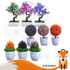 Check spelling or type a new query. Dodory Pot Tanaman Bunga Dekorasi Rumah Tanaman Hias Import Tanaman Hias Murah Import Shopee Indonesia