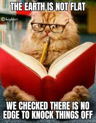 The Earth Is Not Flat We Checked There Is No Edge To Knock Things Off Meme Video Gifs Flatearth Meme Cats Meme Roundearth Meme Earth Meme Not Meme Flat