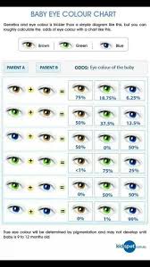 Interesting Eye Color Chart Eye Color Chart Genetics