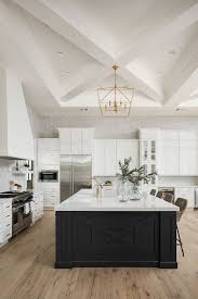Iron ore sherwin williams houzz. Custom Single Story Home Home Bunch Interior Design Ideas