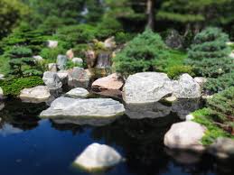 You have to see these beautiful japanese mini truck gardens. Mini Japanese Garden Free Stock Photos Rgbstock Free Stock Images Drow August 22 2013 12