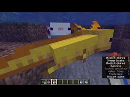 Like many different minecraft creatures, axolotls seem with completely different coloration variations. What Is The Rarest Axolotl In Minecraft