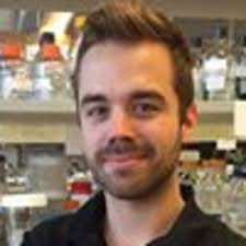 Raphael LOLL-KRIPPLEBER