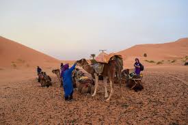 Not a lot of people have even heard of camel, and that's a shame because they were a great band for most of the 70s. Sand Between My Toes In The Sahara Desert Morocco Travelsewhere