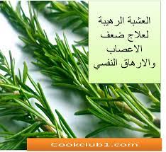 العشبة الرهيبة لعلاج ضعف الاعصاب والارهاق النفسي Herbs Couture Beading Medical Advice