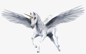 Gather your stuff, and start immediately! An Beautiful White Winged Unicorn Unicorns 39364232 Pegasus Png Png Image Transparent Png Free Download On Seekpng