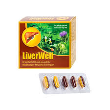 Thực phẩm bảo vệ sức khỏe LiverWell - Hỗ trợ thanh nhiệt, mát gan, giả –  Nhà Thuốc Helios