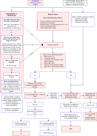 Cervical Spine Injury