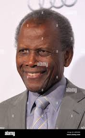 Kennell hi-res stock photography and images