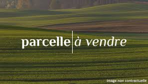 Nous avons recensé pour vous 73 terrains seuls et 541 programmes terrain + maison. Terres Agricoles A Vendre En Auvergne Rhone Alpes