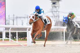 『仕組み』＝『ロジック』 を知っている者だけ!？ 知らないと終わってしまうということです。 競馬で安定して利益を上げていくためには 【馬連・複勝】などを効率よく的中させる事が 最も安定して利益を上げていく事がで 笠松競馬で単勝万馬券、枠単特払い、３連単７０万超馬券! ç¬ æ¾ç«¶é¦¬å ´ Kasamatsukeiba Twitter