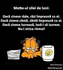 Poze Pisici Haioase Archives Funny Texts Funny Jockes Funny Times