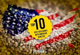 Seed banks that give free seeds. Top 10 Best Seed Banks With Recognized American Genetics