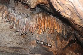 These kinds of natural wonders inspire and awe tourists at the same time. Ruby Falls Tennessee Pitstops For Kids