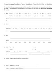 Transcription and translation practice worksheet answer key biology. Transcription And Translation Study Guide