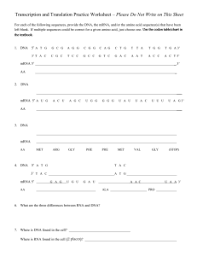 Transcription translation practice worksheet university of louisville bio 102 spring 2012 transcription translation practice worksheet. Extra Credit Questions For Transcription And Translation Test