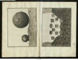 Sets in the java collection framework for this week's lab, you will use two of the classes in the java collection framework: Approved A Project To Bring Potable Water To Damascus