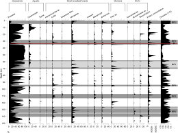 Image result for Kotschya ochreata