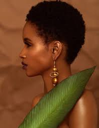 Photo by Lisa Smith, Ozzie Gutierrez, Tyler Faye, Mitchell Cantrell,  Anastasiia Petrova