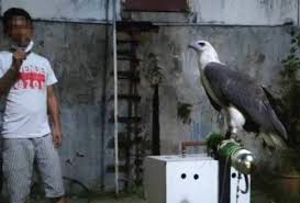Nama latin hewan ini adalah apalharpactes reinwardtii yang bersinonim dengan harpactes reinwardtii. Carian Mengenai Topik Burung Kakak Tua Astro Awani