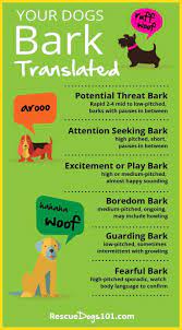 Pin On Dog Behavior