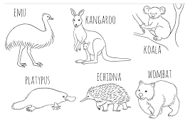 Colouring In Activities For Kids Australia Day 2020 In 2020 Animals For Kids Australian Animals Cute Australian Animals