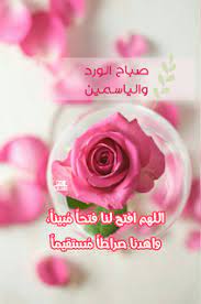 pic vibes دعاء اللهم افتح لنا فتحا مبينا صباح الورد وال good morning images good morning arabic morning images