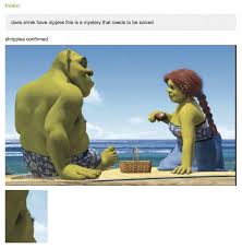 Literally Just 24 Shrek Posts That No One Ever Asked For Shrek Shrek Memes Funny Memes