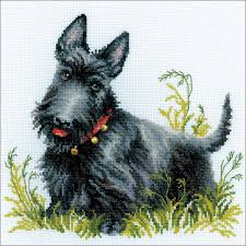 This cross stitch pattern uses only full stitches. Riolis R1281 10 X 10 In Scottish Terrier Counted Cross Stitch Kit 14 Count Buy Online In Isle Of Man At Desertcart 114389523