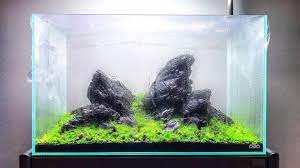 Pin On Aquascaping