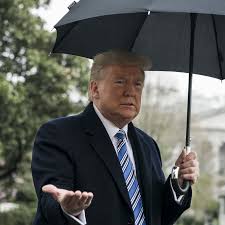 We've helped millions of seniors find the perfect medicare supplement. Obamacare Markets Will Not Reopen Trump Decides The New York Times