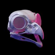 Artstation Owl Skull 3d Print Model Alexandr Pavljuk Skull Print Models 3d Printing