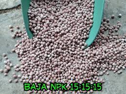 Hubungi/ whatsapp cik nur 0132917699 untuk maklumat lanjut. Mudahnya Buat Baja Subur Sahabat Kebun Anda