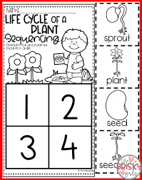 Plant Life Cycle Needs Of A Plant Parts Of A Plant Plant Life Cycle Activities Plant Life Cycle P In 2020 Plants Life Cycle Activities Plant Life Cycle Life Cycles