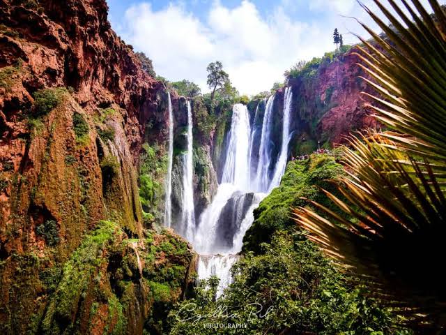 Ouzoud Waterfalls Day Trip