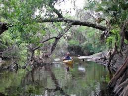 Image result for Alafia