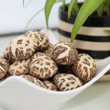 We did not find results for: China Bunga Putih Kering Shiitake Cendawan Kering Shiitake Berkualiti Tinggi Bunga Putih Kering Shiitake Cendawan Kering Shiitake Pada Bossgoo Com