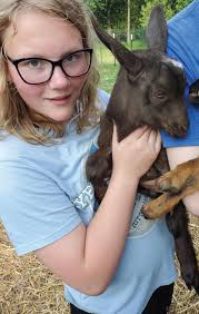 iNRRTS Directions Volume 1 of 2025 by nrrts