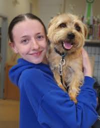 Pet Grooming In Gahanna, OH