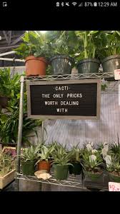 Pin By Jordyn Schick On Letterboard Plants Plant Life Planting Flowers