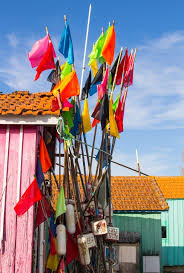 Les 10 Activites Incontournables A Faire Sur L Ile D Oleron 1 Ile D Oleron Oleron Ile