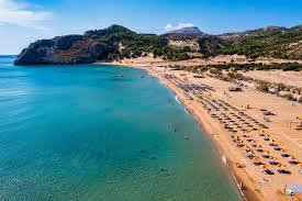 Image result for Salacia rhodesiaca