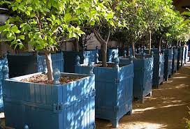 The timber can be left au natural or finished with teak oil which enriches both the colour and grain. Design Sleuth A Planter With Pedigree Gardenista