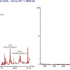 Image result for Tephrosia nyikensis