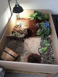 Tortoise Habitat Tortoise House Sulcata Tortoise