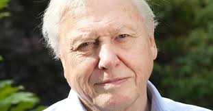 𝑱𝑼𝑺𝑻 𝑺𝑨𝒀 𝑯𝑰 ! 𝑺𝑶 𝑾𝑬 𝑲𝑵𝑶𝑾 𝒀𝑶𝑼 𝑨𝑹𝑬 𝑺𝑻𝑰𝑳𝑳  𝑨𝑪𝑻𝑰𝑽𝑬 𝑰𝑵 𝑻𝑯𝑰𝑺 𝑮𝑹𝑶𝑼𝑷 😍